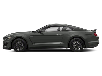 2019 Ford Mustang Shelby GT350 Fastback