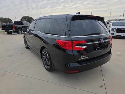 2024 Honda Odyssey Elite